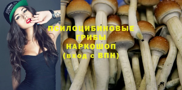 ГАЛЛЮЦИНОГЕННЫЕ ГРИБЫ Майский